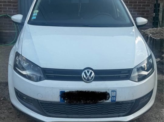Volkswagen Polo Occasion 2010